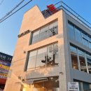 케이지이티에스 태양광발전소 | [분위기 좋은 루프탑 카페] 부산 사하구 반려동물 동반 카페 버드 방문 후기!