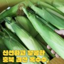 주식회사 농업회사법인 로컬플래너