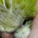 상도3동주민센터 이미지