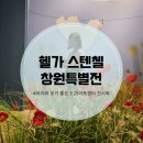 형제컴퓨터세탁소 | [창원 전시] 헬가 스텐첼 창원특별전 | 아이와 보기 좋은 사진전 실내 데이트