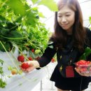 원덕리도 이미지