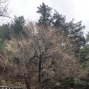 신천옥사우나 이미지