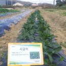 파주시농업기술센터 이미지