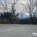 불루캠핑장 이미지