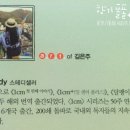 허밍버드아트 이미지