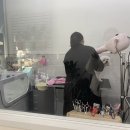 리리네 펫살롱 이미지