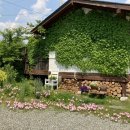 스테이 장성 이미지