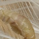 생일기념으로 다녀온 타마유라 스시 오마카세 후기 | 가격, 구성, 예약 정보
