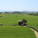 죽림농장 이미지