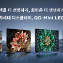 올림픽스포츠 이미지