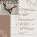 이로움운동센터 | 망우동 필라테스 이로움필라테스 필라테스 플레이스 예약 방법 정리