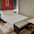 기장애견 | [부산] 애견인들은 무조건보세요⭐️ 가성비,분위기 다잡은 애견동반 기장 '고움 료칸호텔' / 솔직후기