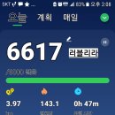 미가떡집 이미지