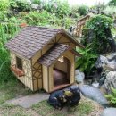 궁전애견 이미지