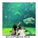 일산늘푸른약국 | 일산 아쿠아플라넷 재단장 다흑 이용 후기,