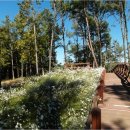 “40·50대 건강 여행지 1순위” 전북 순창 쉴랜드, 왜 대한민국 웰니스 명소가 됐을까? 이미지