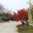 풍암농장 이미지