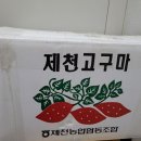 삼태산농원님의 황금고구마 이미지