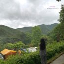 청천수목원야영장 이미지