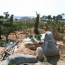 느티나무농원 이미지