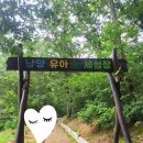 남양 유아숲체험원 이미지