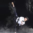 경희대 석사 국가대표 태권도장 이미지