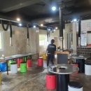 서귀포시청2청사 앞 이미지