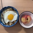 2021년 8월 첫째주 : 도영이 얘기 많아서 (안)죄송합니다