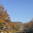 훌랄라 참숯치킨 안양예술공원점 | 서울대 안양수목원 단풍구경 / 훌랄라참숯치킨 안양예술공원점