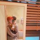 러블리독 애견카페 이미지