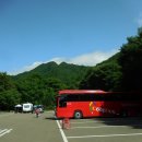 (대간 덕유산권) 춤추는 용을 타고(舞龍산) 원추리를 찾아 헤매었건만 (22.7.9.토) 이미지