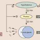 늘품동물병원 이미지