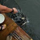 지곡낚시터 이미지