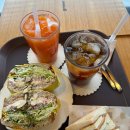 명천초등학교 | 보령 카페 브런치 찾는다면 그린브라우니 보령 시청점 샌드위치 후기