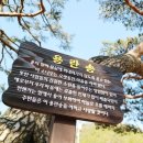 하조 마을회관 이미지