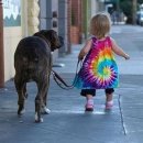 천지추 애견샵 이미지