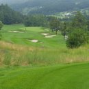 웰리힐리 컨트리클럽 이미지