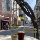 왈왈스쿨 이미지