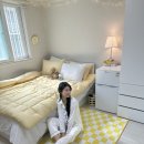 라핌 코리빙하우스 | 안양 원룸 안얀역 원룸 가격 시설 괜찮은 곳! 오프라인 룸투어 다녀왔어요