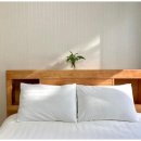 기쁨펜션 이미지