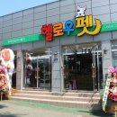 제주헬로우펫 이미지