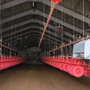 원태양광발전소 이미지