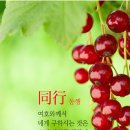 생명의 시작 이미지