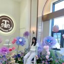 구암동163 | 대전 모닝트리, 햇살 맛집에서 즐기는 힐링 타임(사진 찍기 좋은 곳)