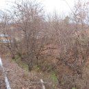 추학보건진료소 이미지