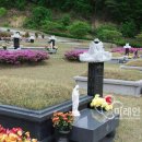 공원묘지매점 네이버블로그