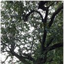 원앙캠핑장 이미지