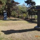 느티나무 일원 이미지