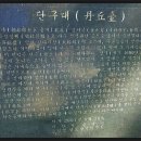 단구대 티스토리