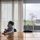 제주 서쪽 감성 독채 폴부엌이층집 숙박 후기(아이와 함께, 조식, 대가족 숙소)